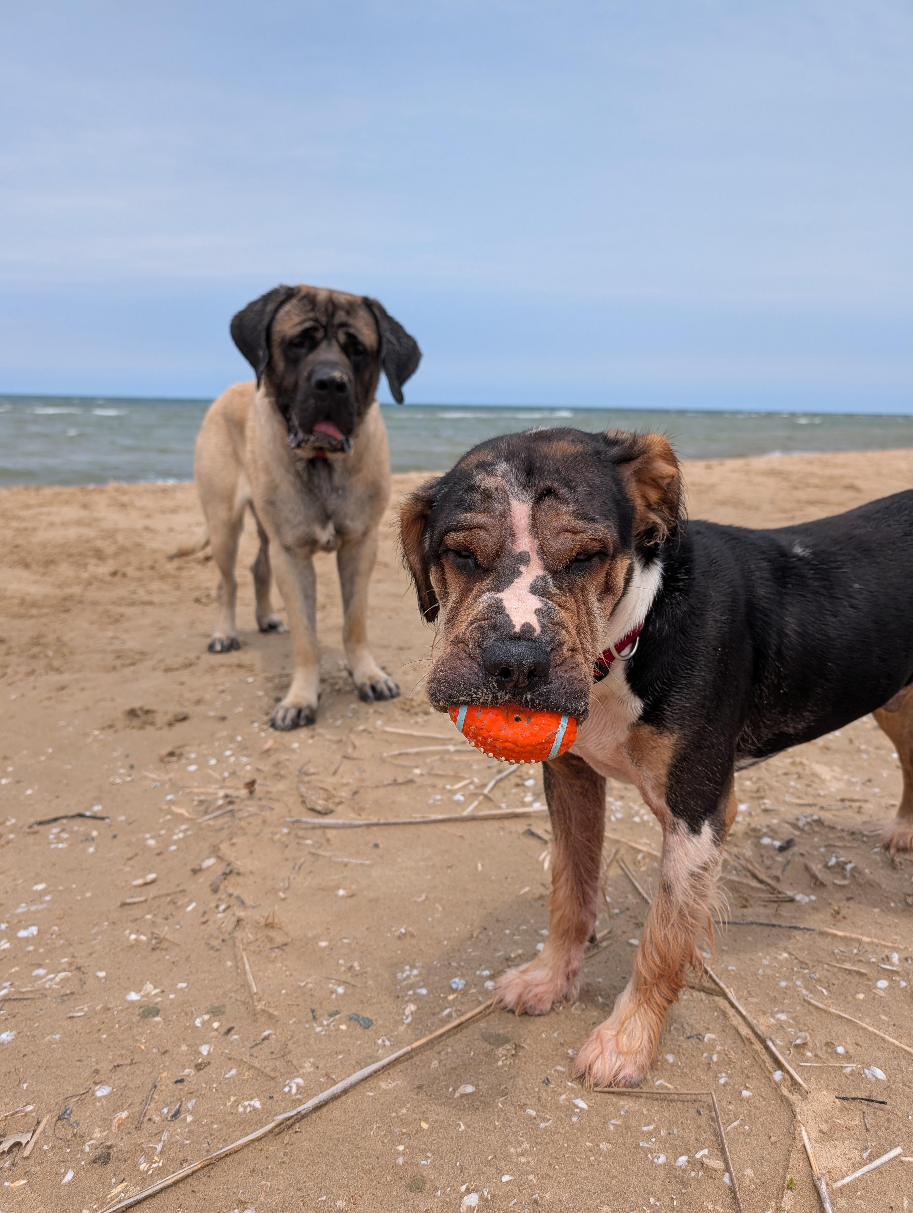 Lake Time fun