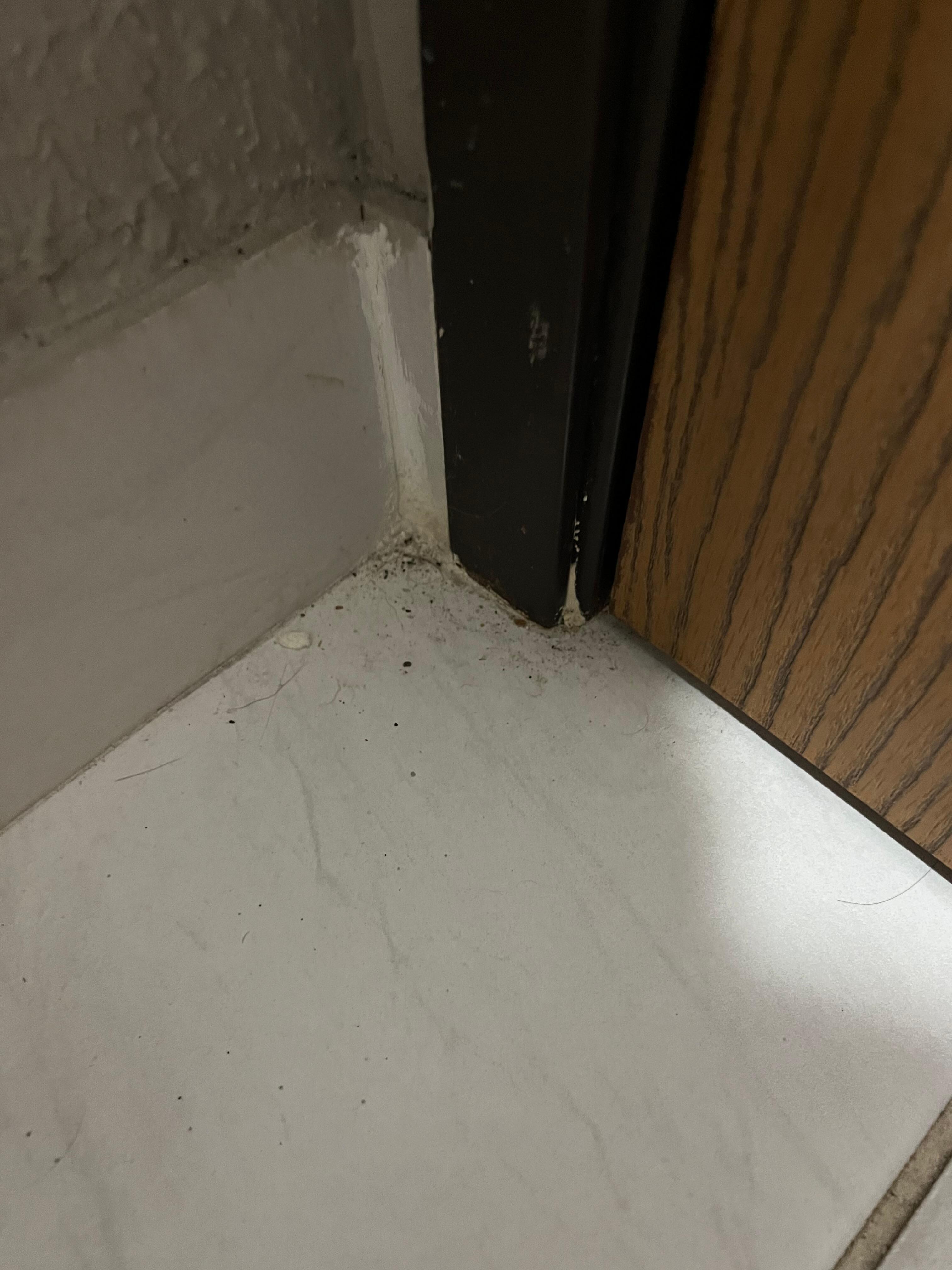 Very dirty floor. I also have a video of the problems with the room that it won’t let me upload