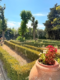 View from reception