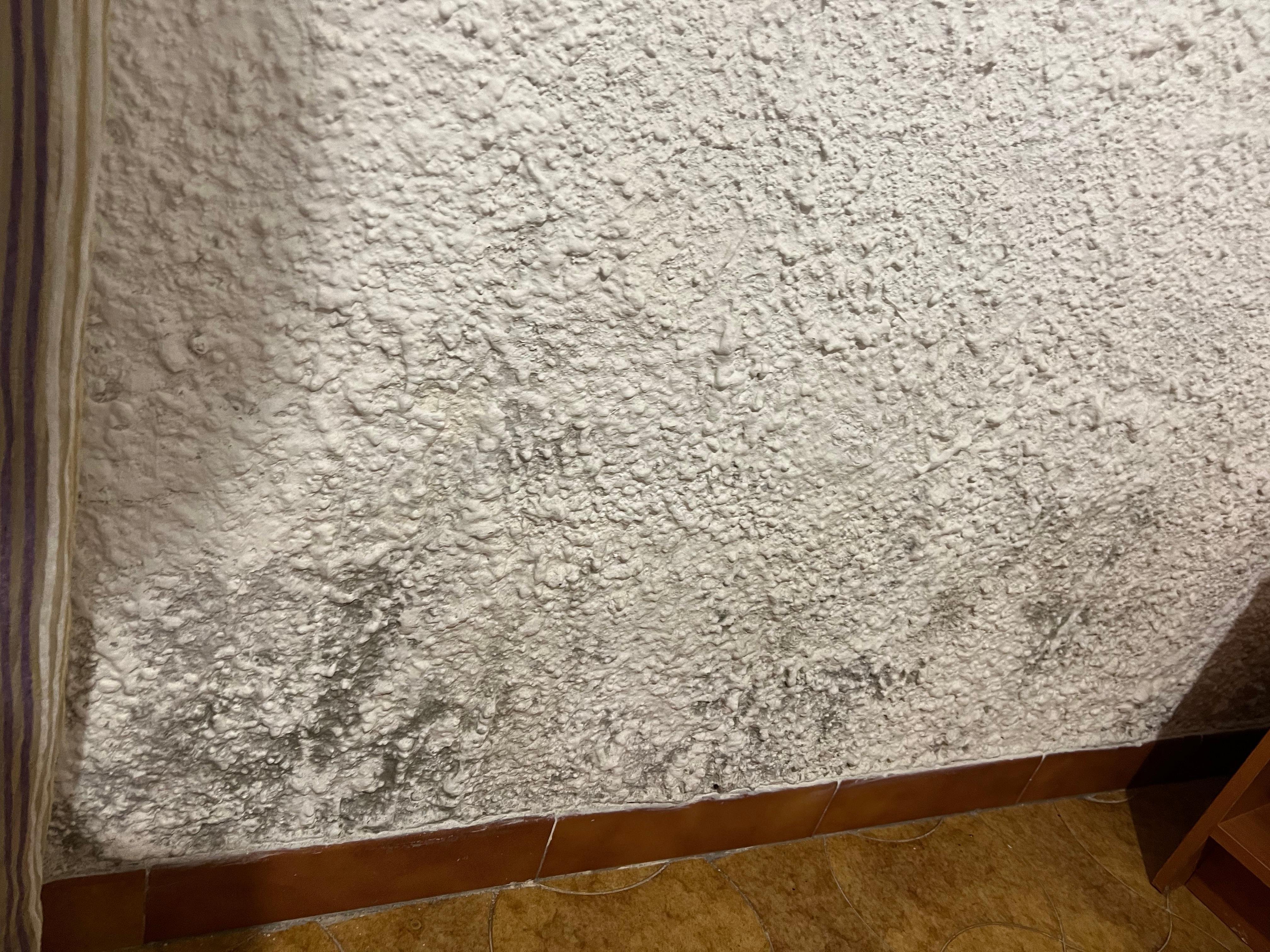 Mold or dirt?