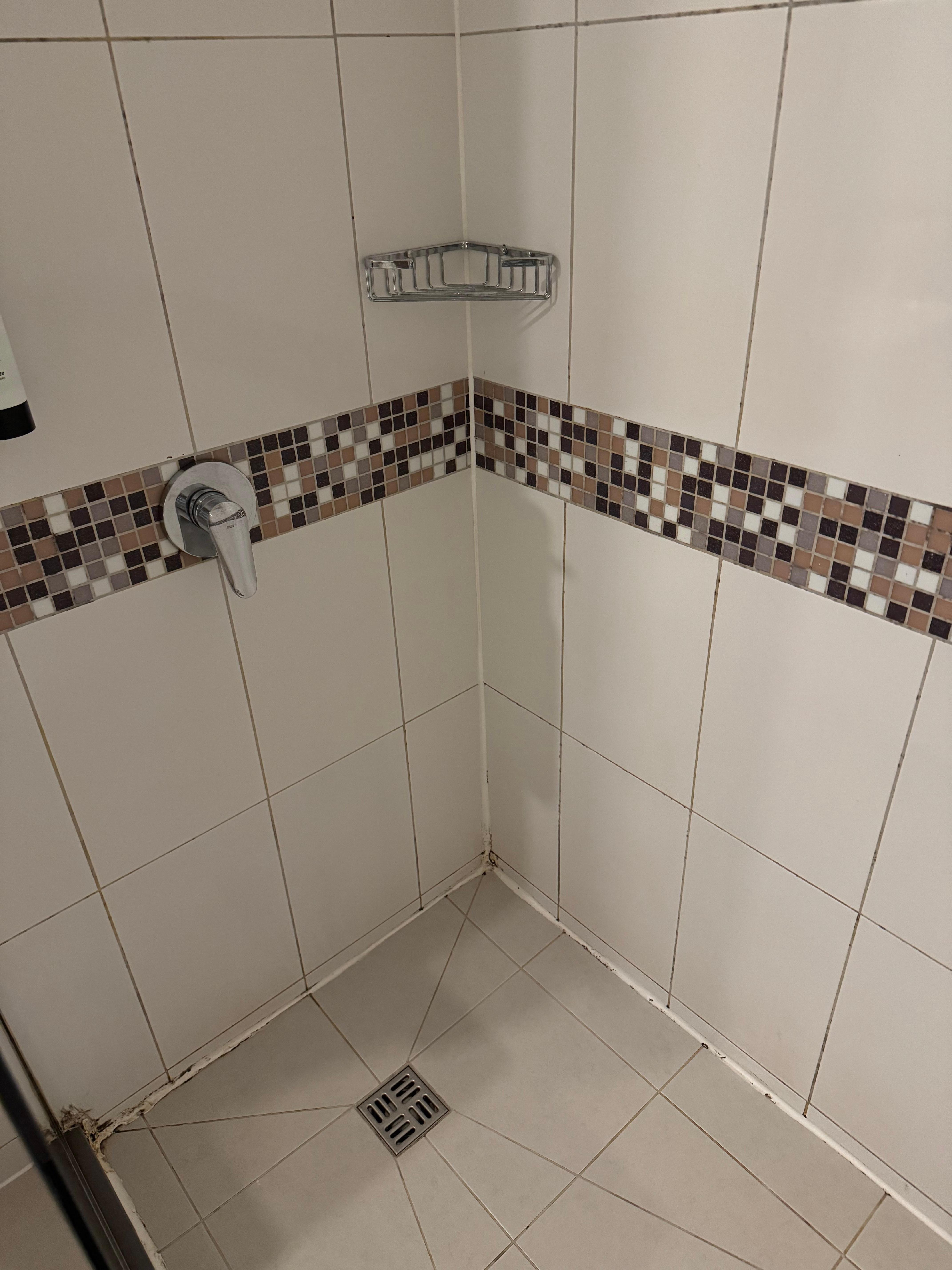 Moulds in the bathroom 