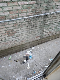 Gross alleyway