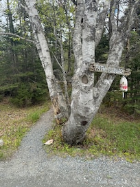Shhhh... a path to a beach, hit it at low tide to explore Bar Island!