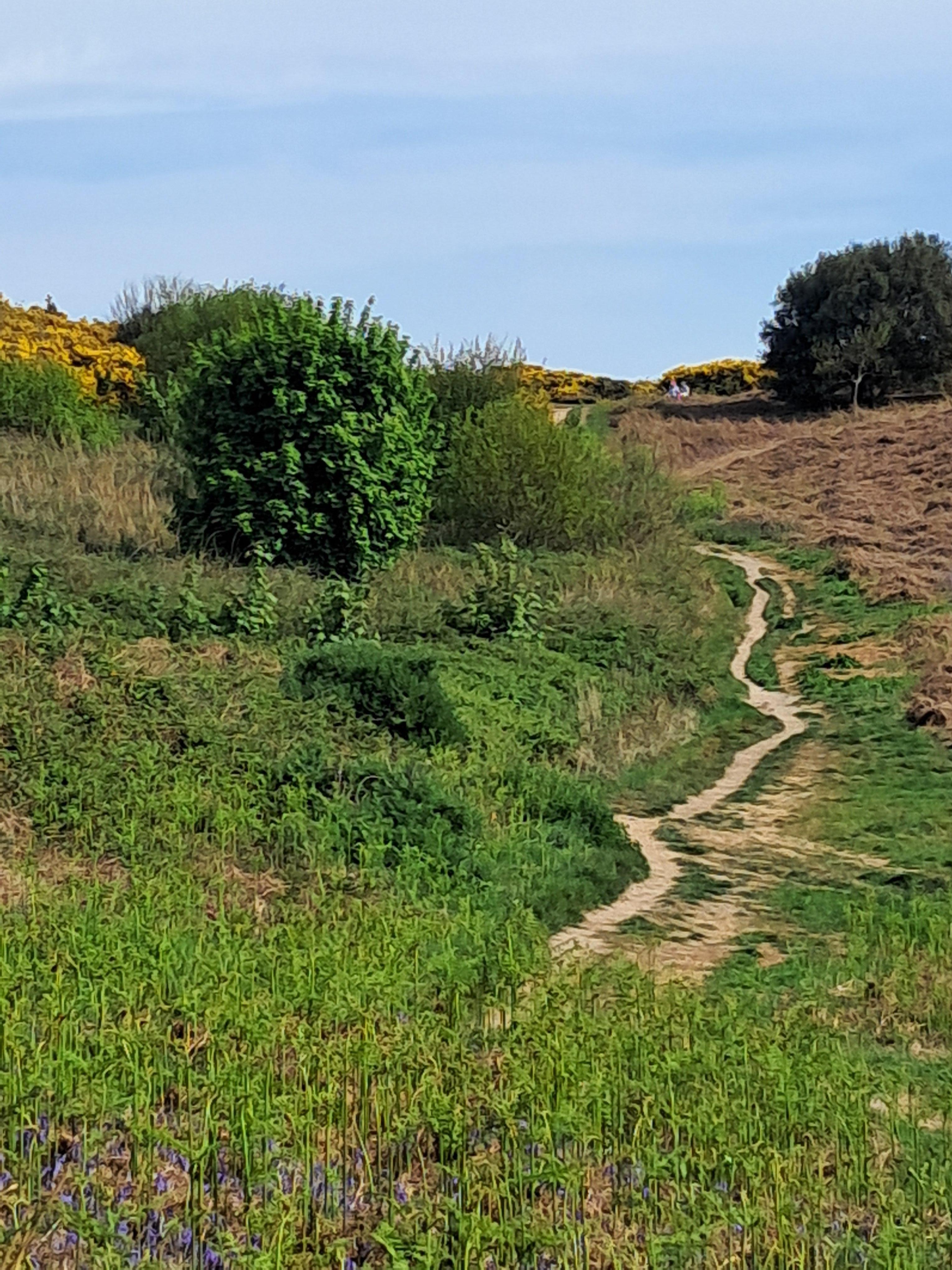 Cliff top walk into town