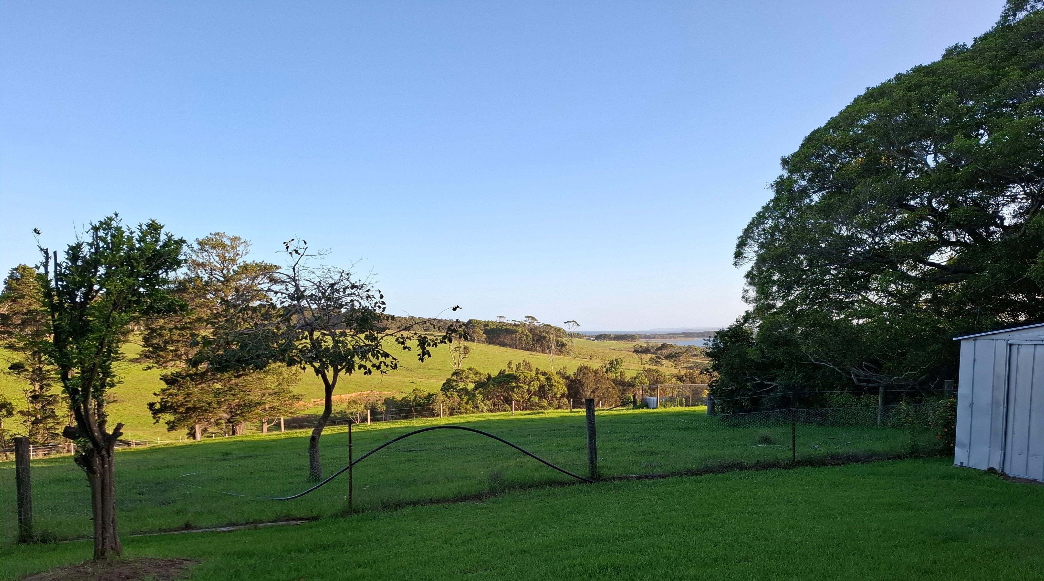 View from kitchen window 