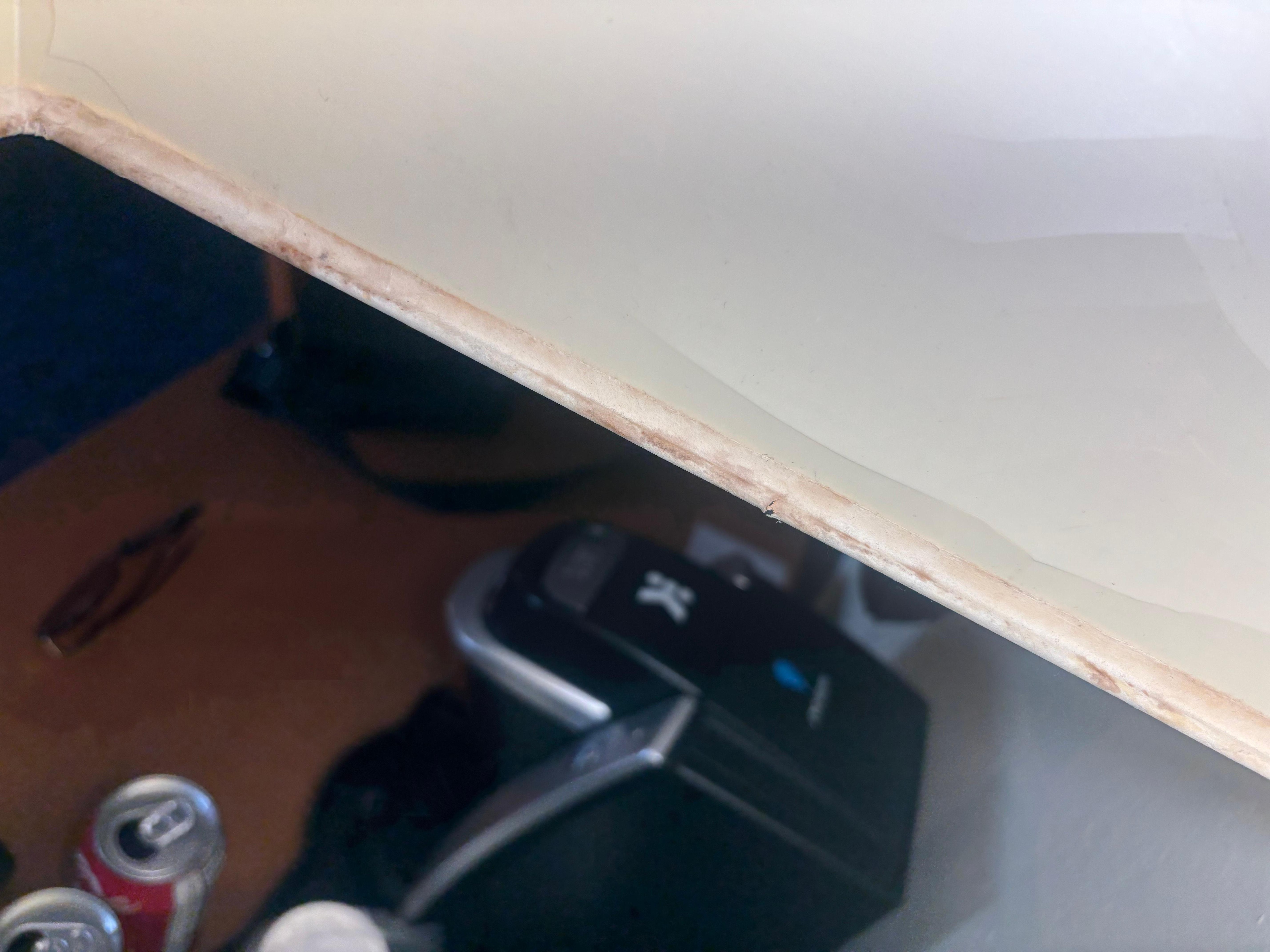 Mold inside lamp shade 