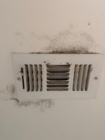 Mold around the air vents.