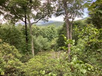 From the porch, so relaxing!