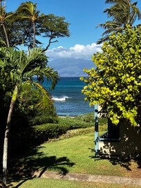 View of the ocean from the condo lanai.