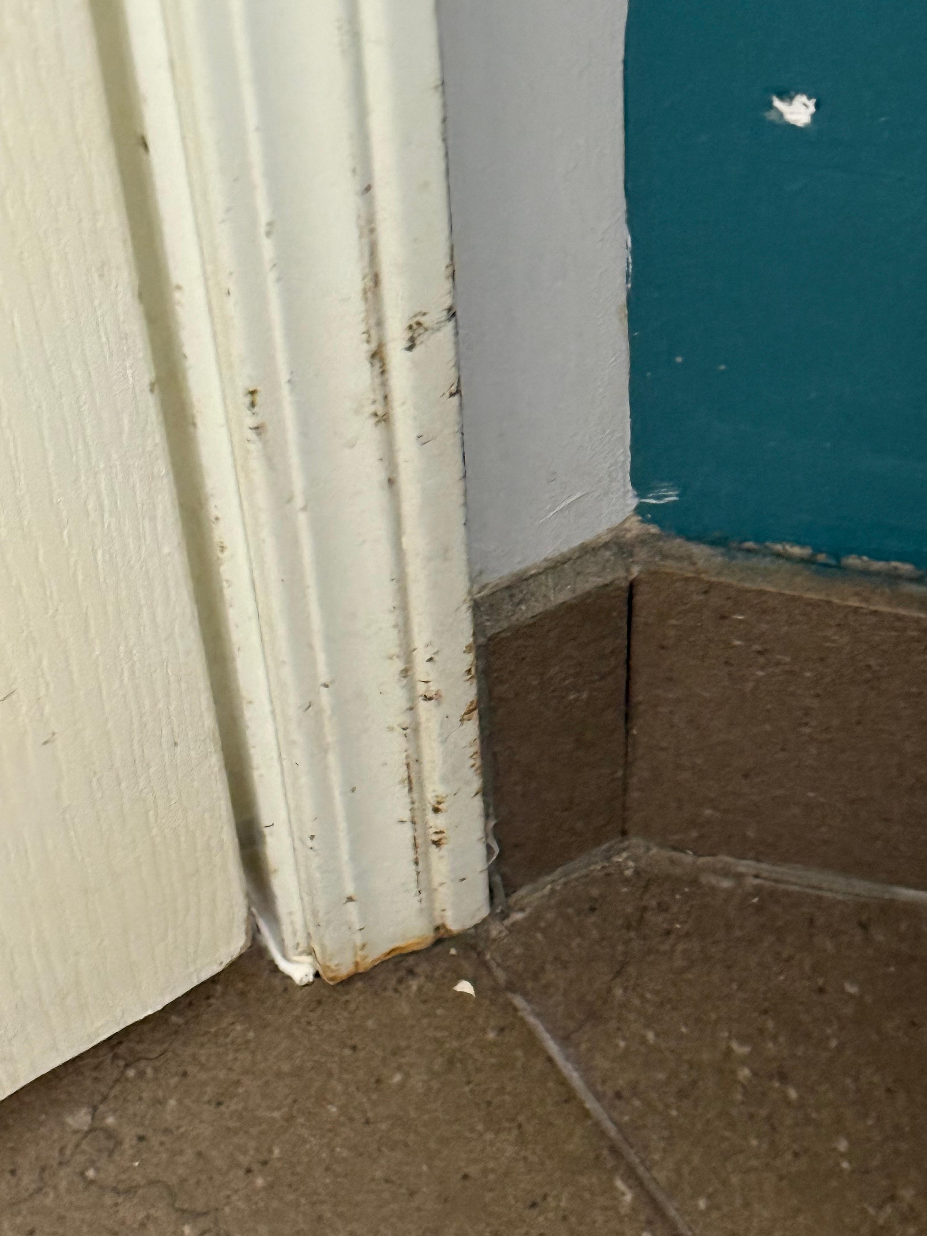 Dirt and grime on baseboards and trim 