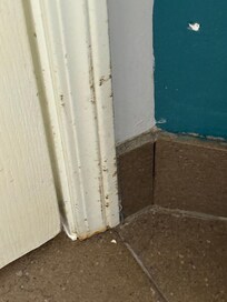 Dirt and grime on baseboards and trim