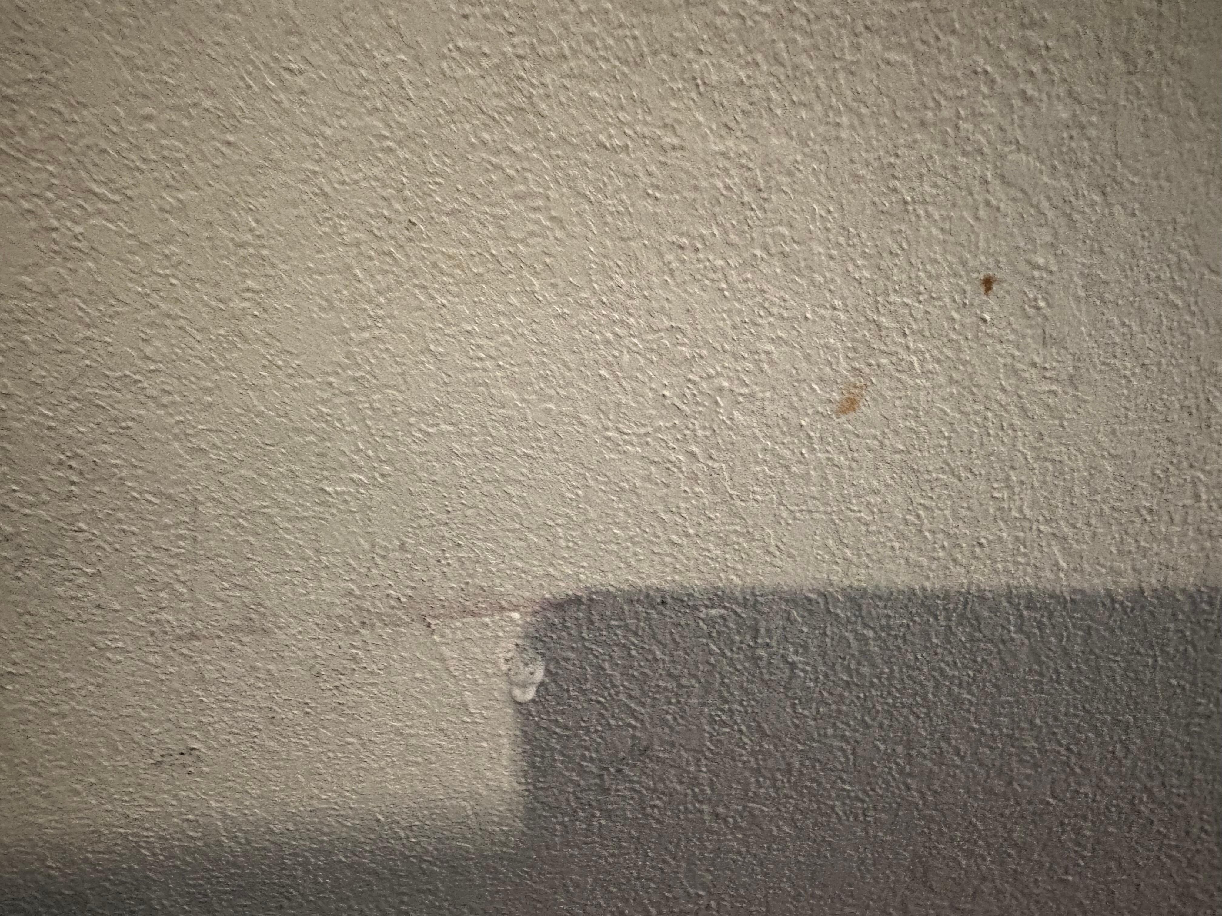 More food on the wall