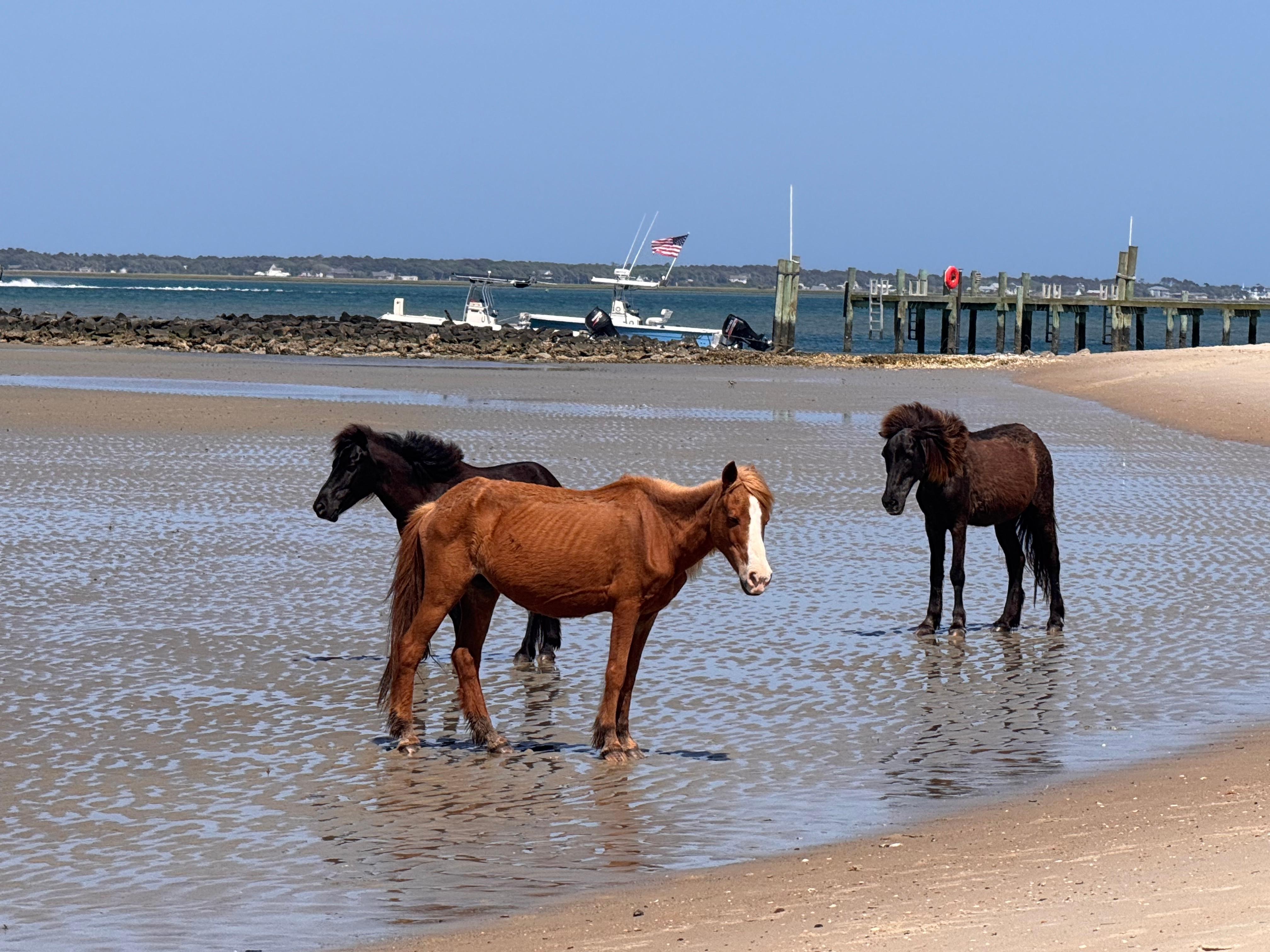Shackkeford Island