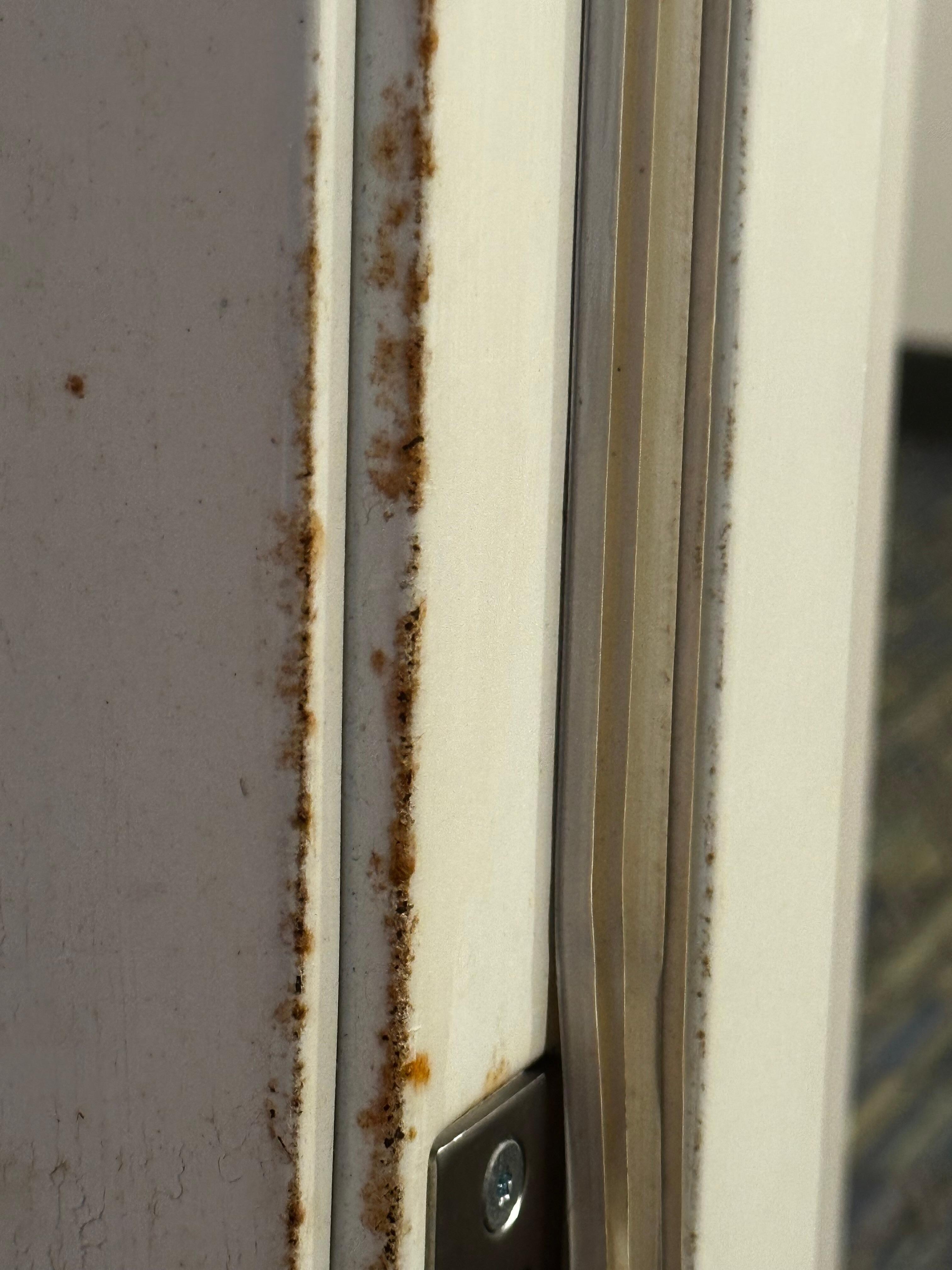 Rust around the door