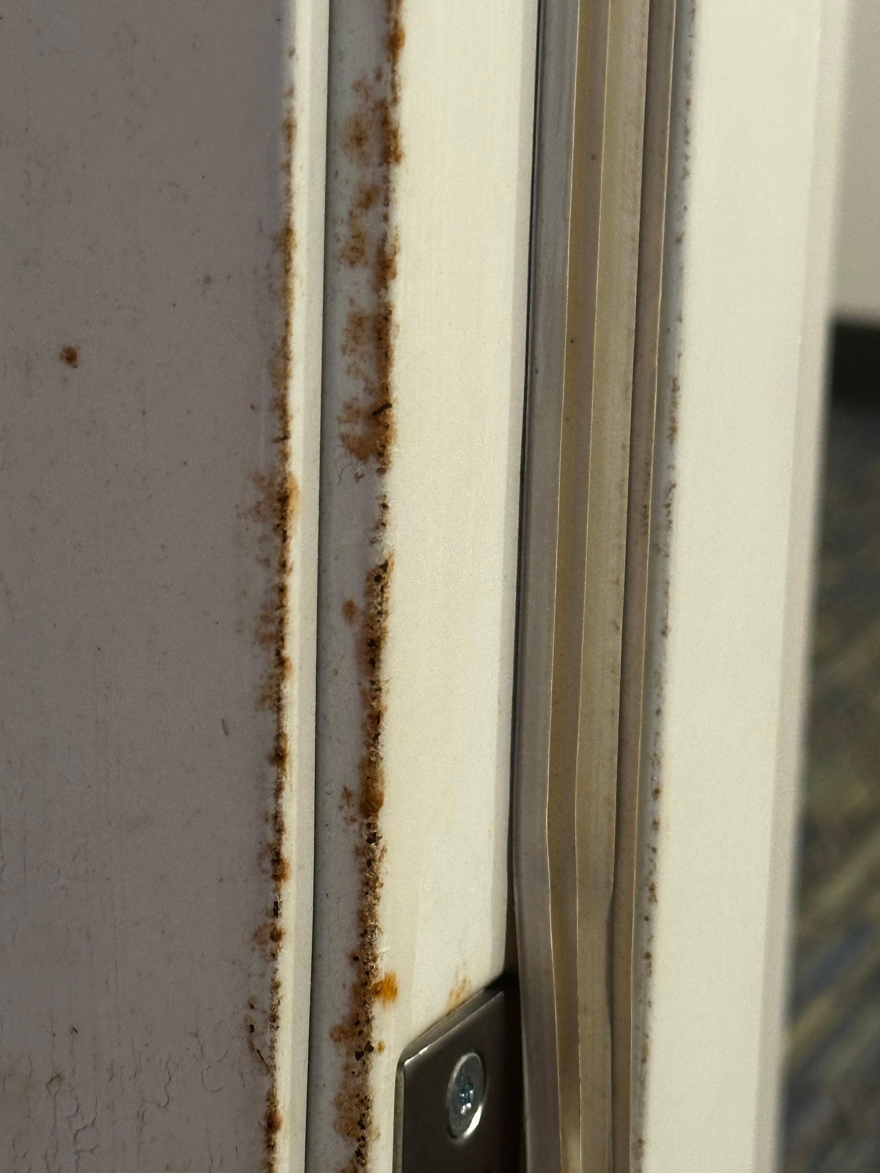 Rust around the door
