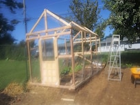 Vine City Greenhouse