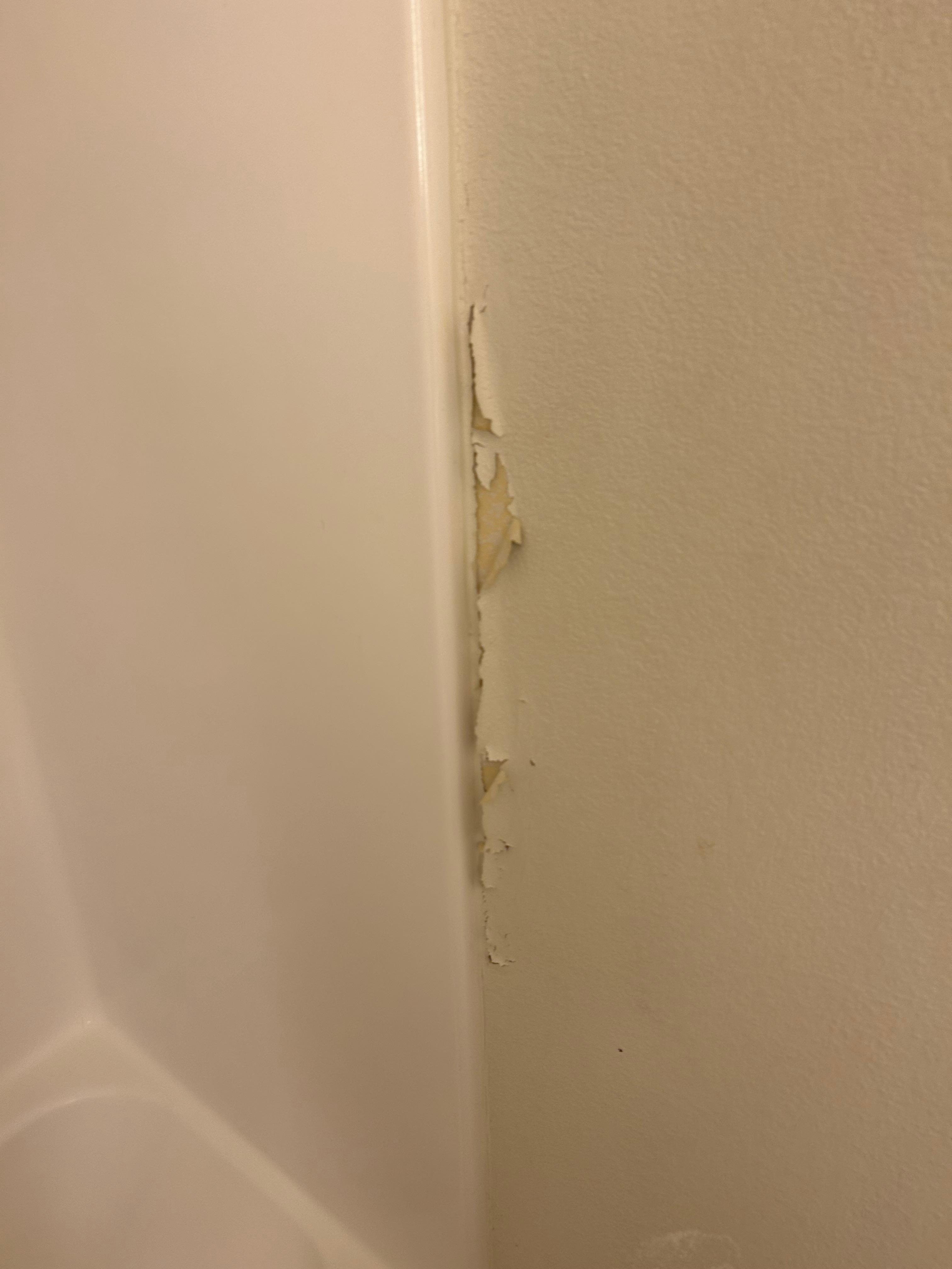 Bathroom wall