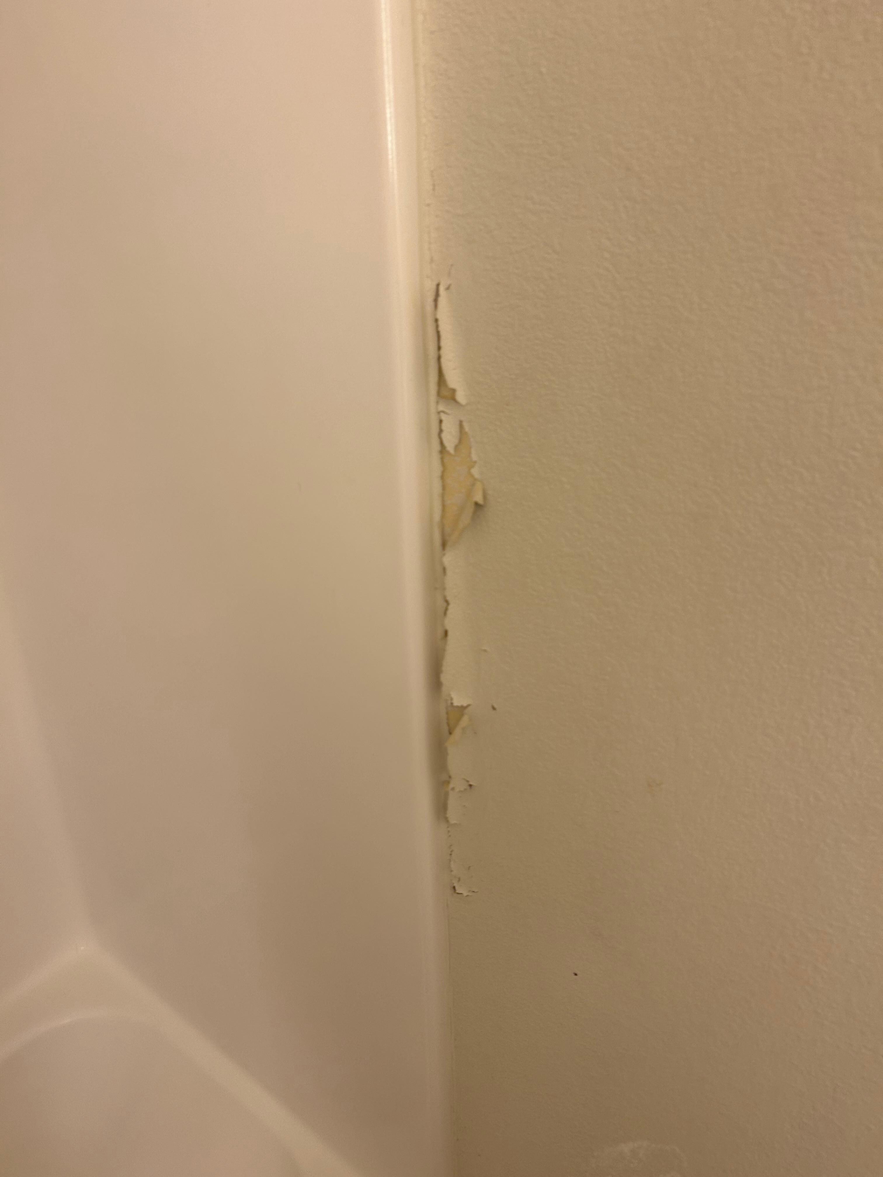 Bathroom wall