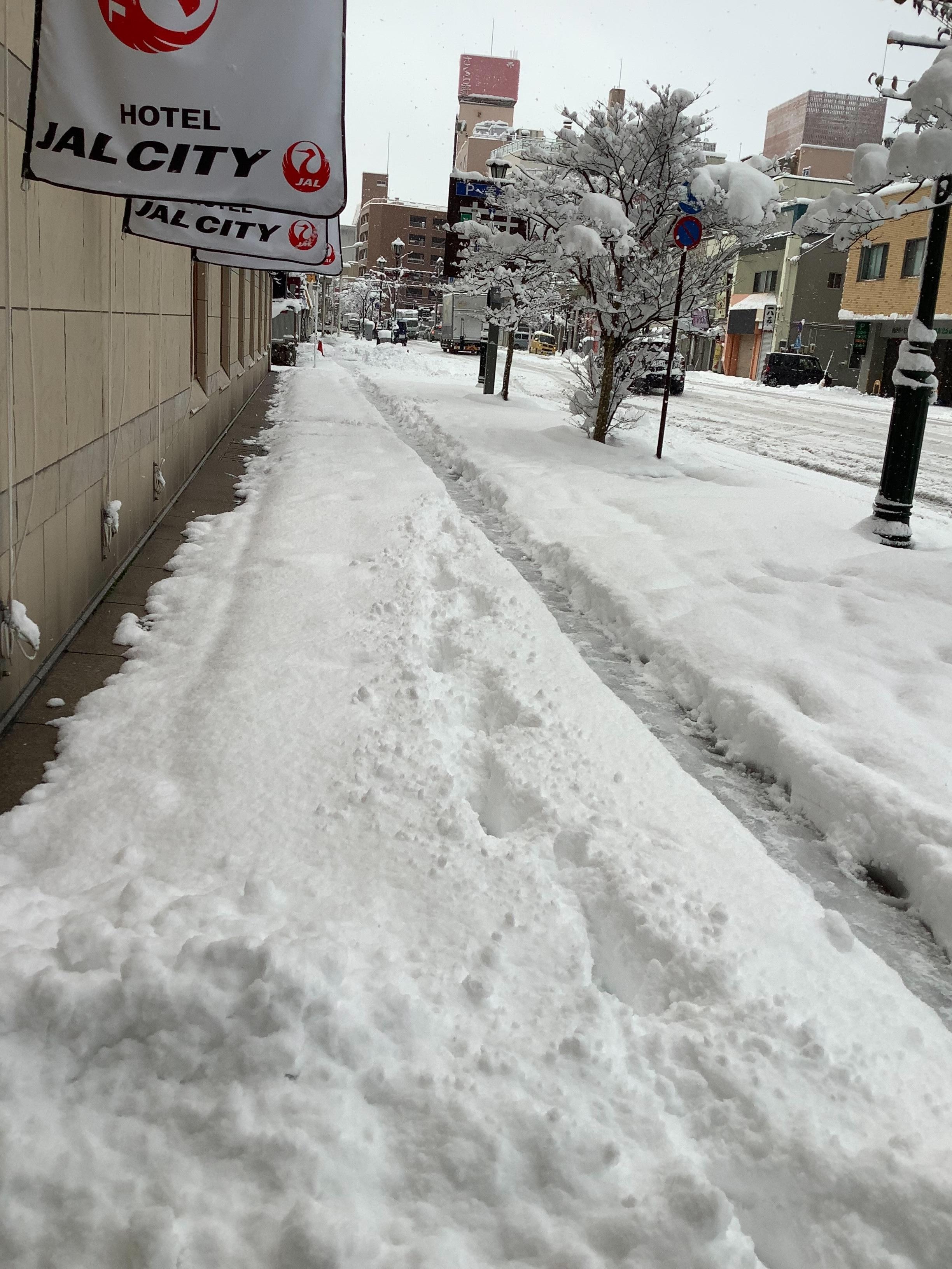 慣れていないので、とても歩きづらい雪道でした