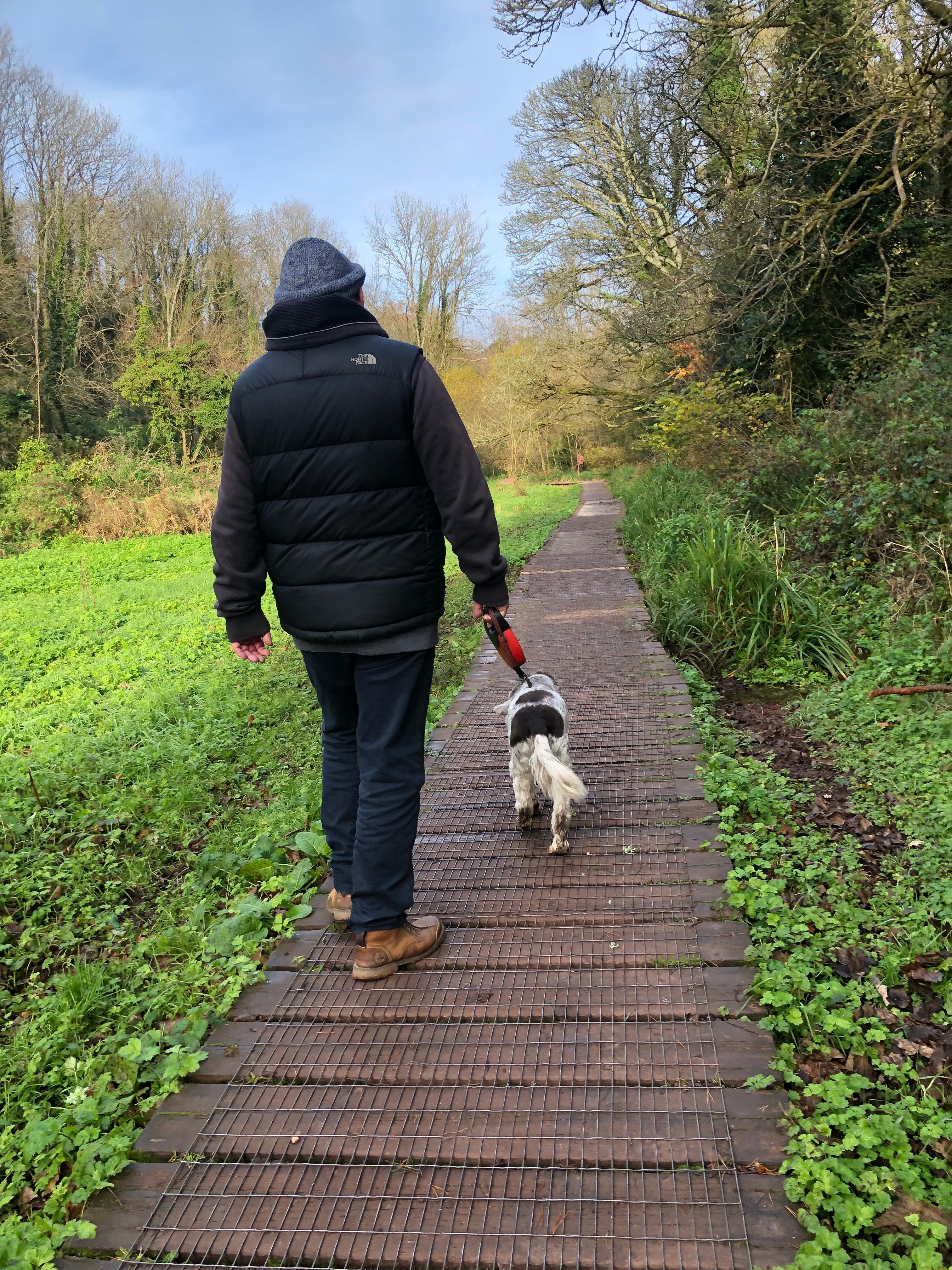 Boardwalk across the water meadows 