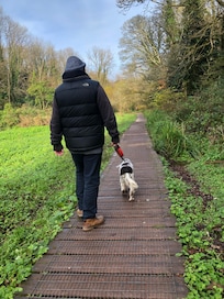 Boardwalk across the water meadows