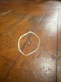 Staple son stepped on sticking out of the flooring.