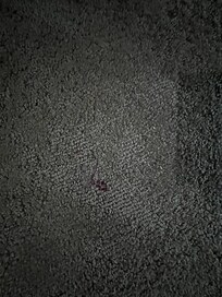 Stains on carpet