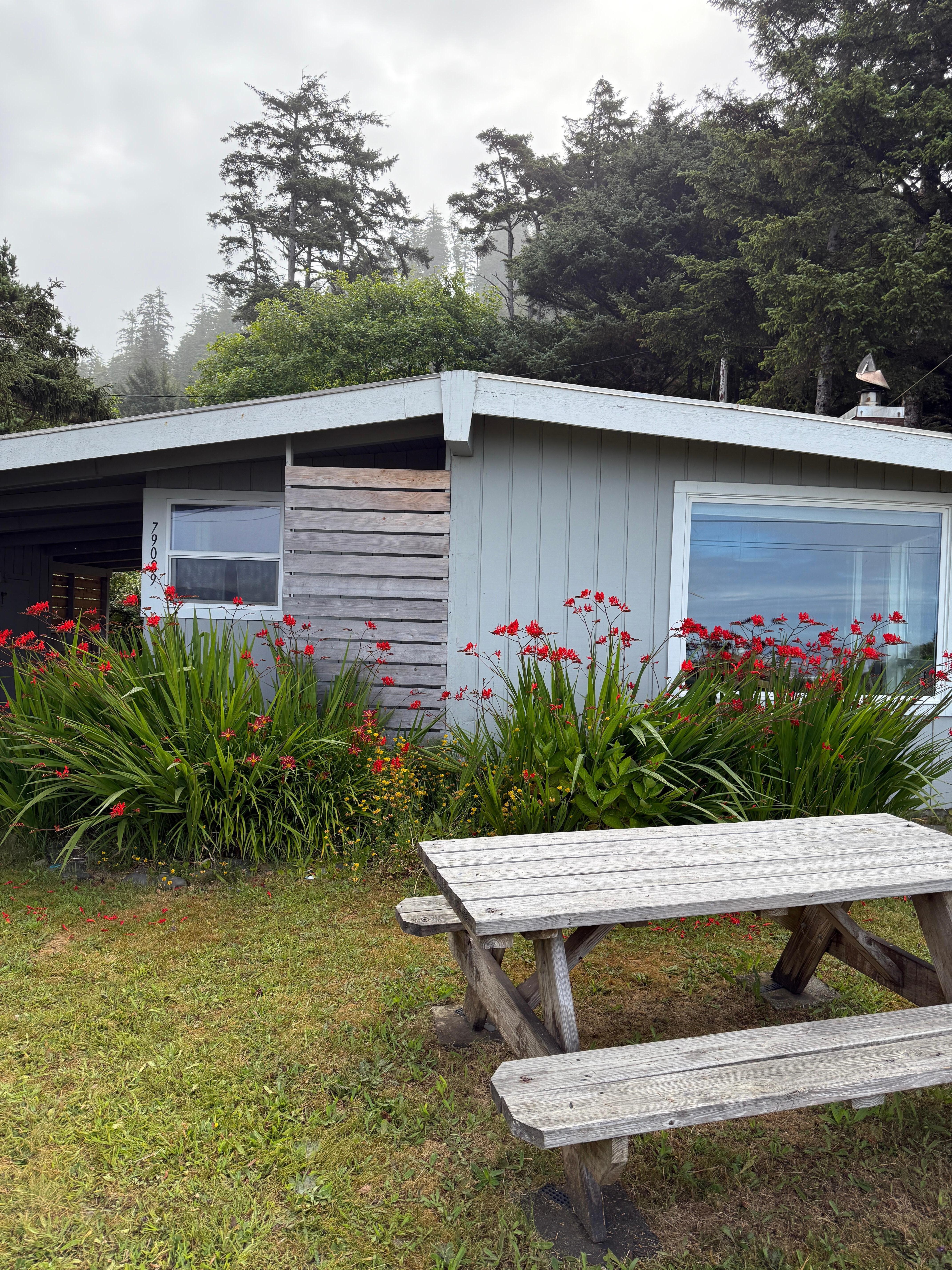 Front of cabin, picnic table with ocean view