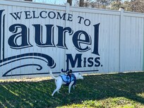 Near historic downtown Laurel