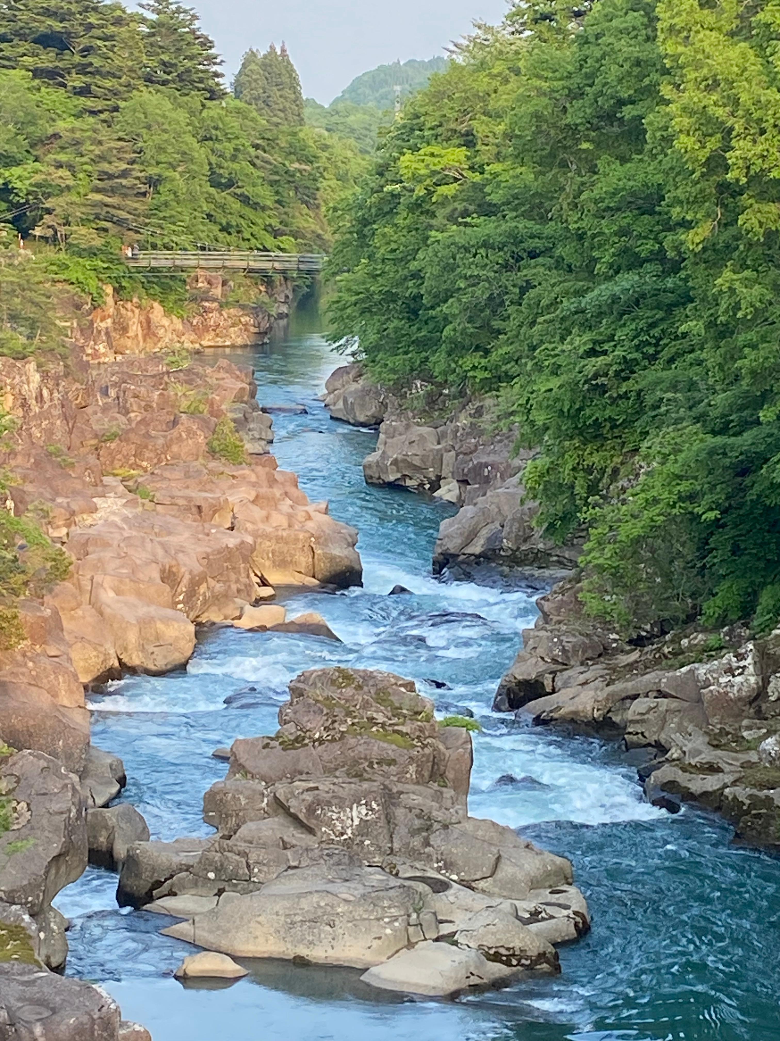 遊歩道があって移動すると川の景色も色々でした。