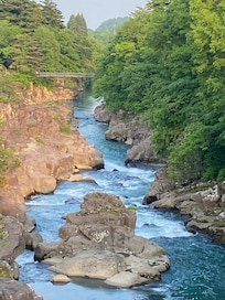 遊歩道があって移動すると川の景色も色々でした。