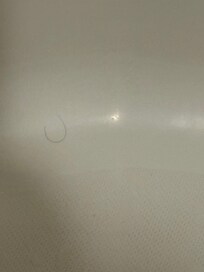 Pubic hair in shower.