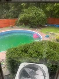 Pool after 2 weeks