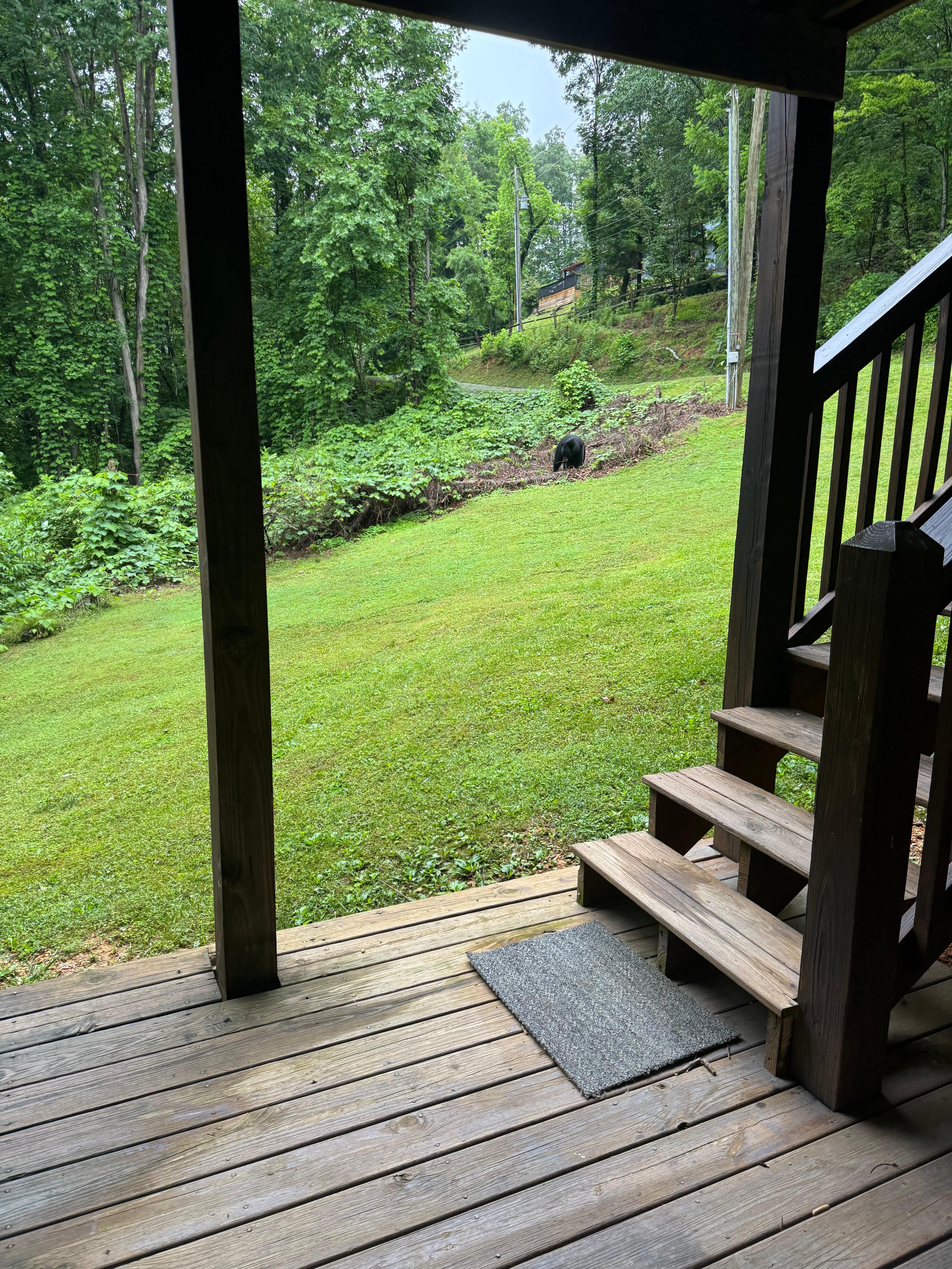 The bear we encountered. This was in the game room. The stairs in the picture lead to the entrance to the top of the cabin. You have to go outside to get to game room.. keep that in mind if you have kids.