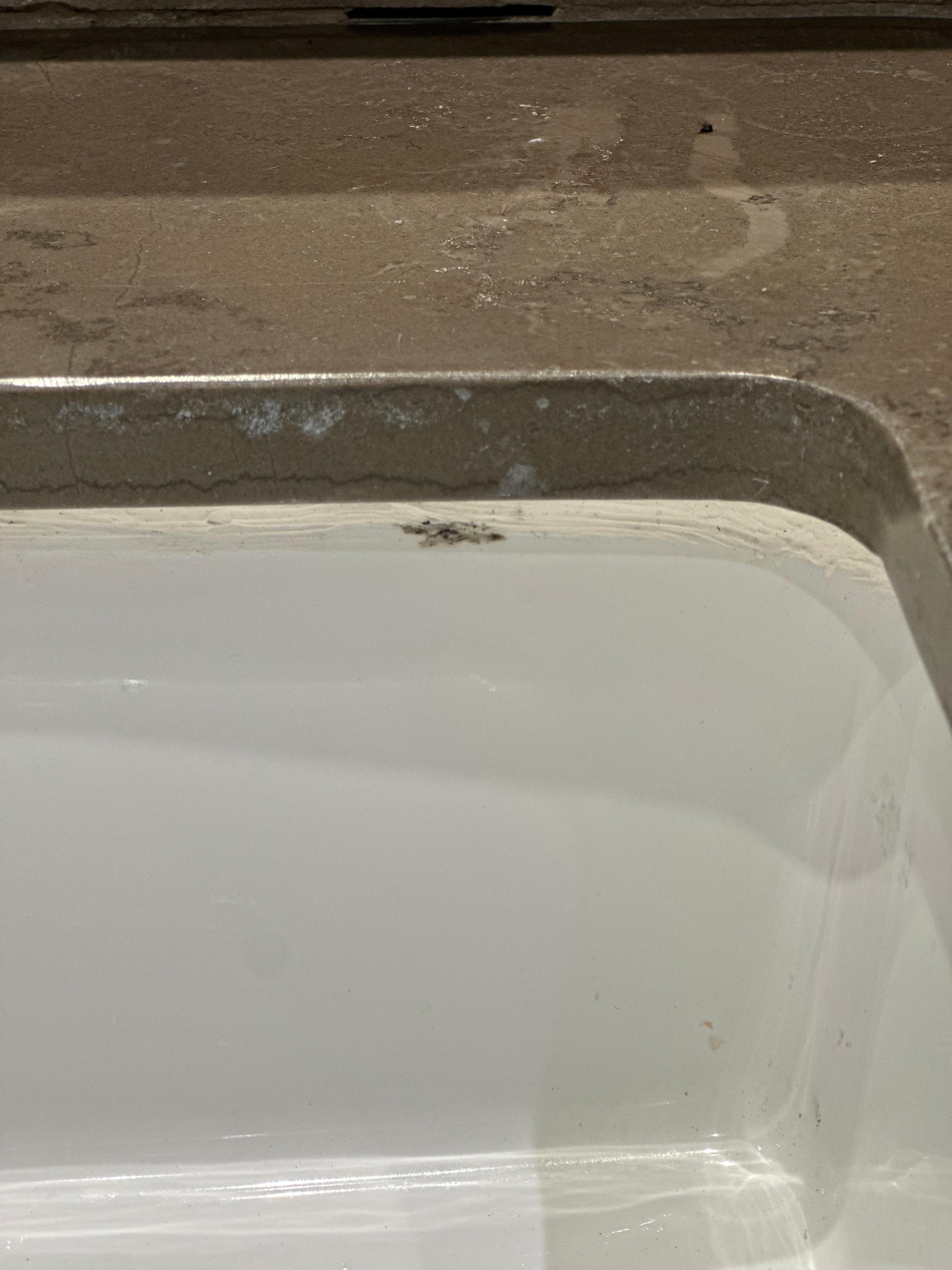 Mold in the bathroom sink