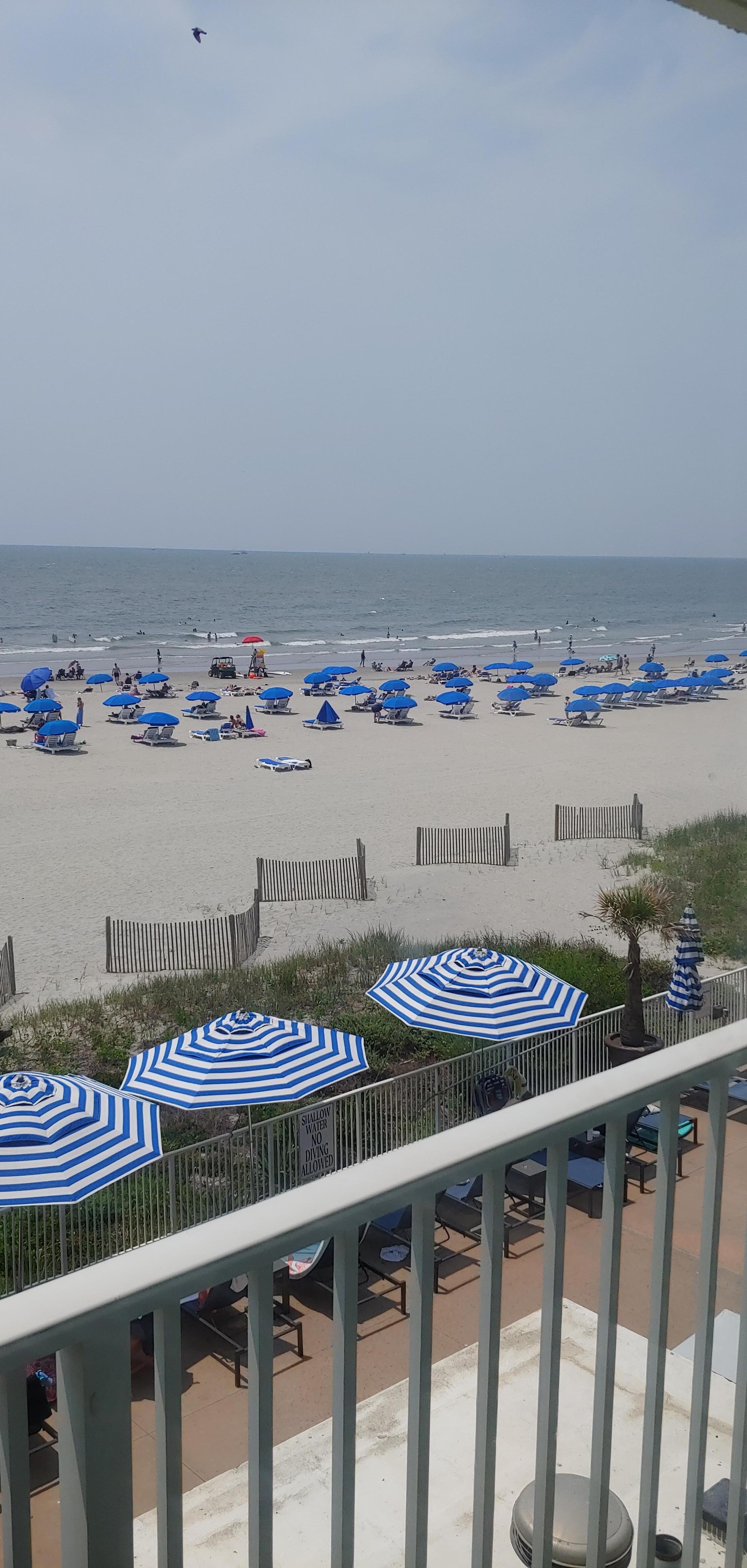 Hotel room view