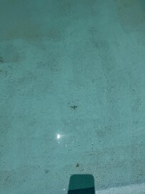 Warning - does not look like the pictures!!!