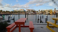 Pool + Harbor