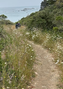 Trail across from house.
