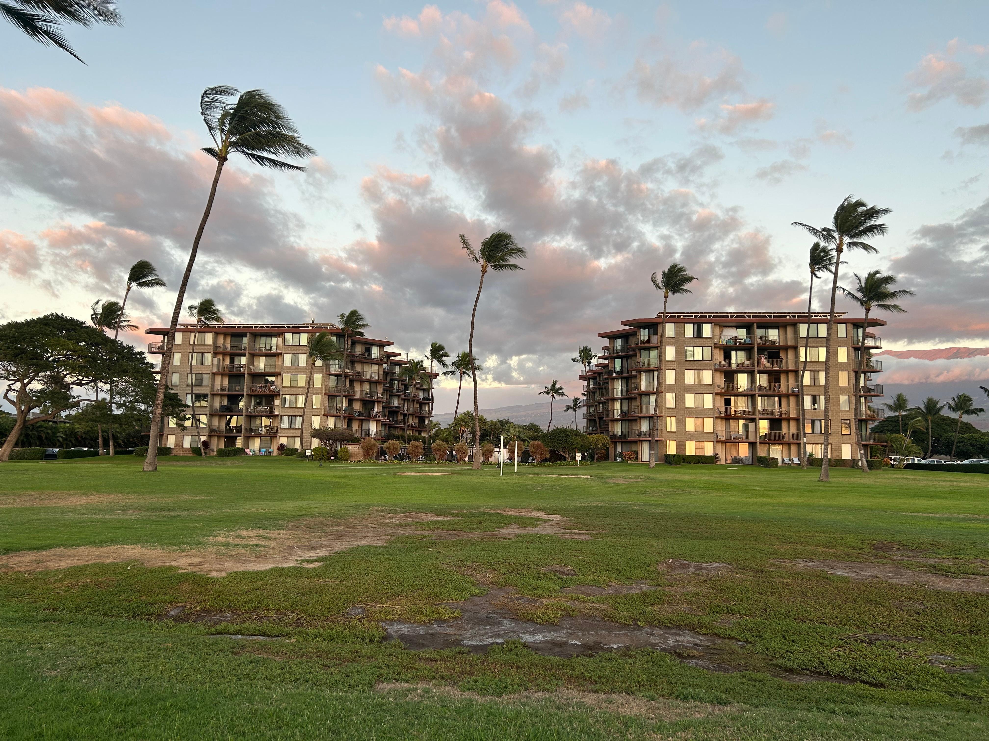 Looking at property from the beach