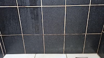Badroom with mold