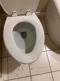 Outdated toilet seat and stains on the floor