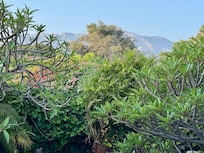 View of San Gabriel Mountains, healing from fire