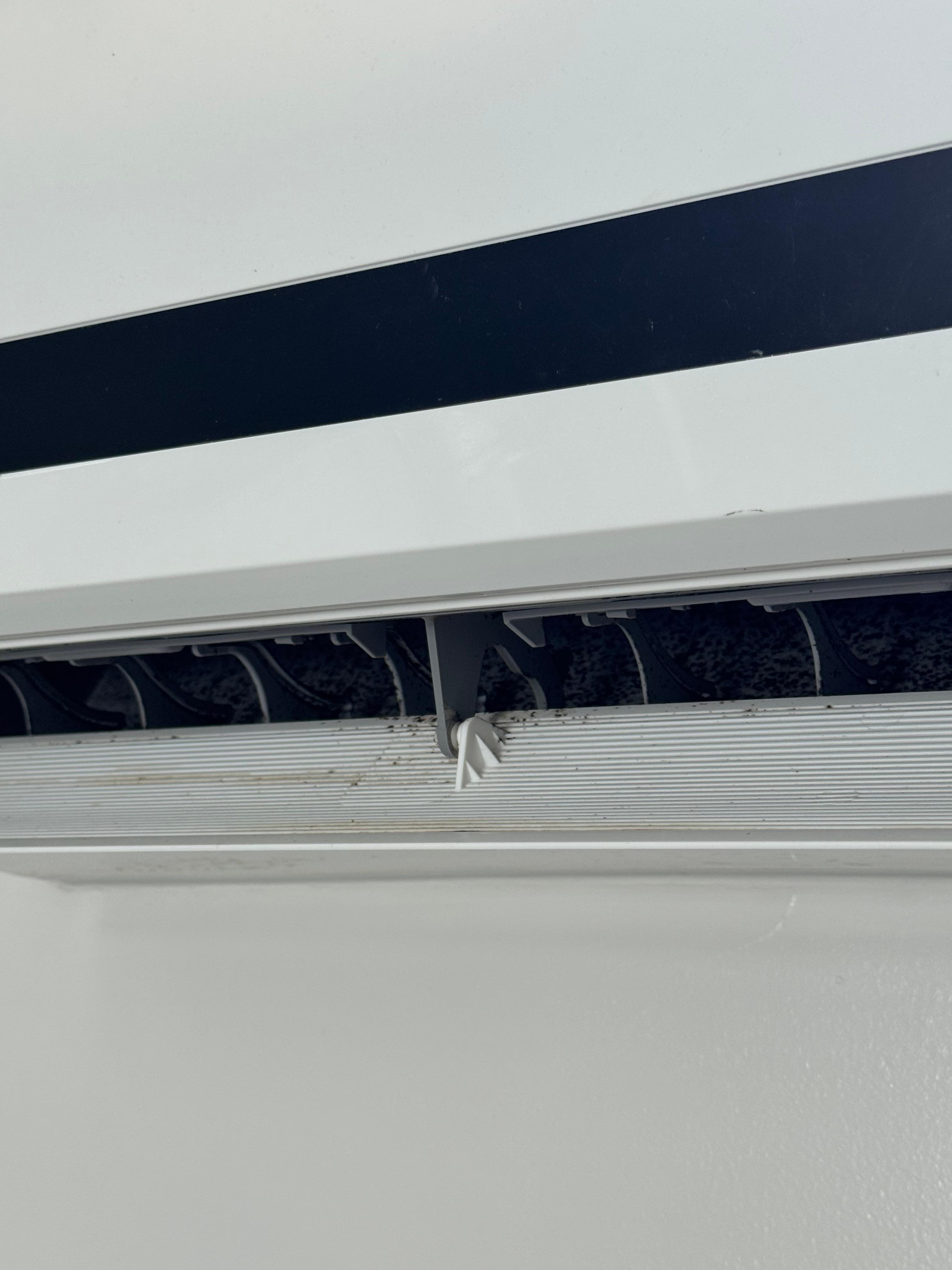 Mold on AC 