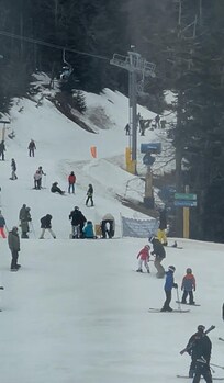 View from the window