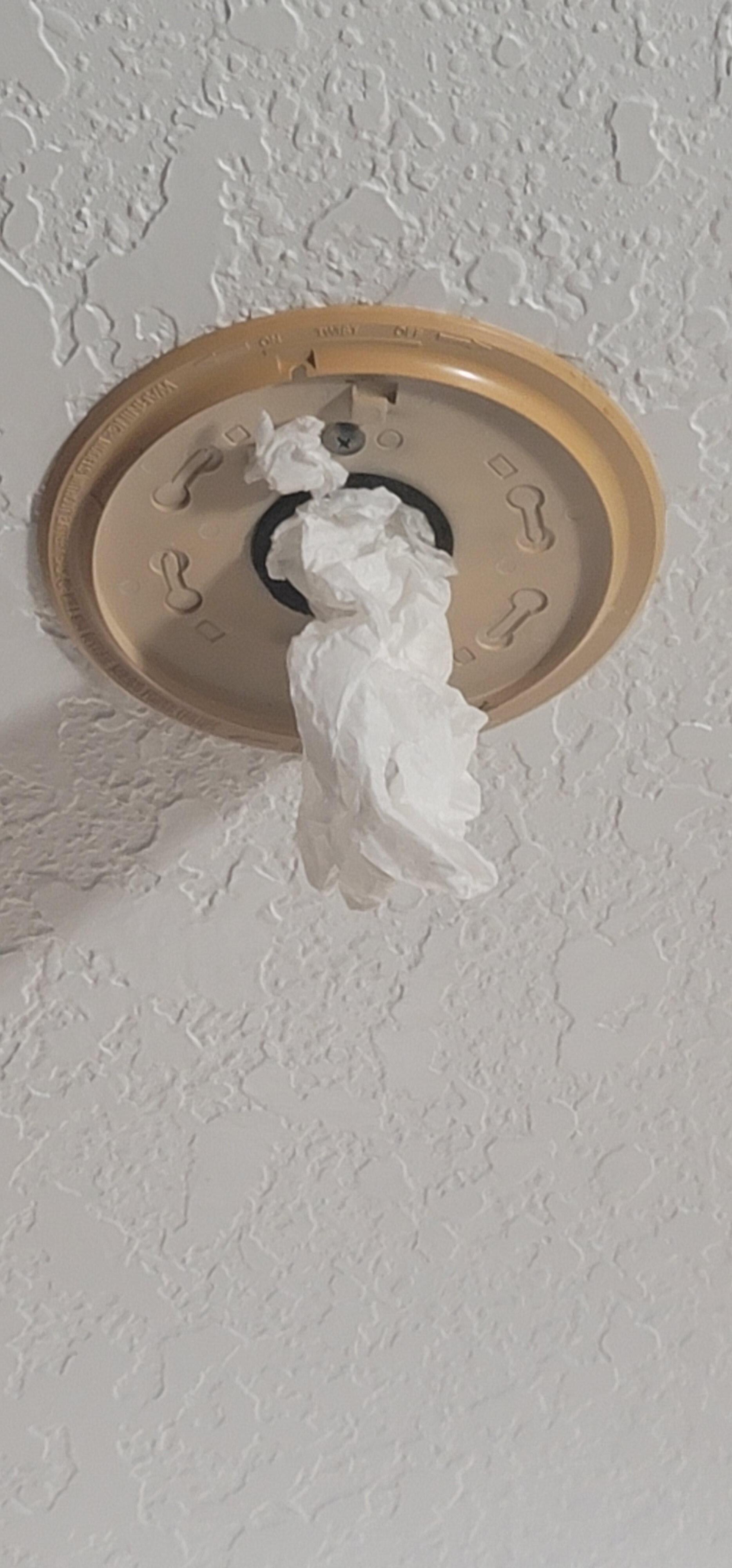 Missing fire alarm with toilet paper / paper towel hanging out of it. 
