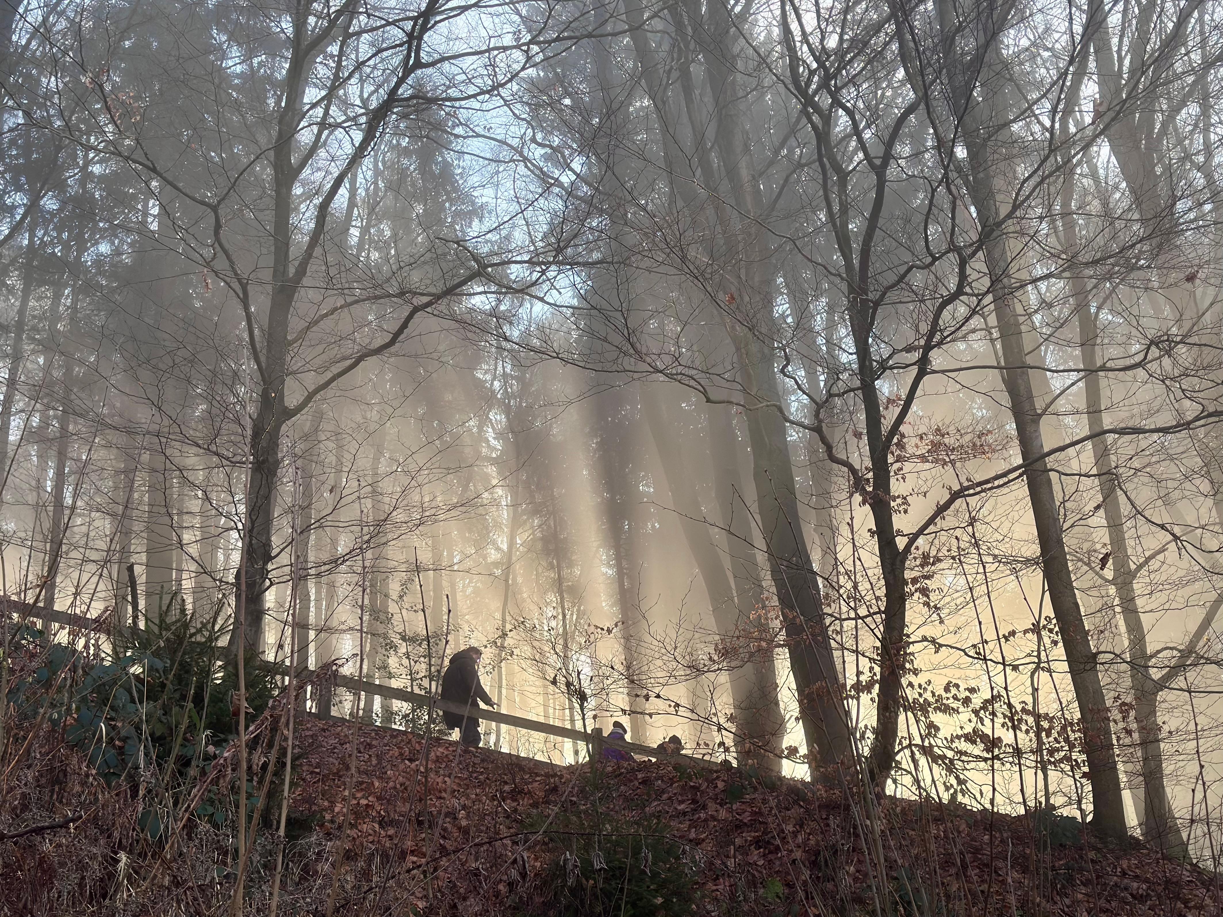 Externsteine 
Wanderweg 