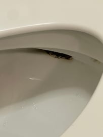 Dirty toilet