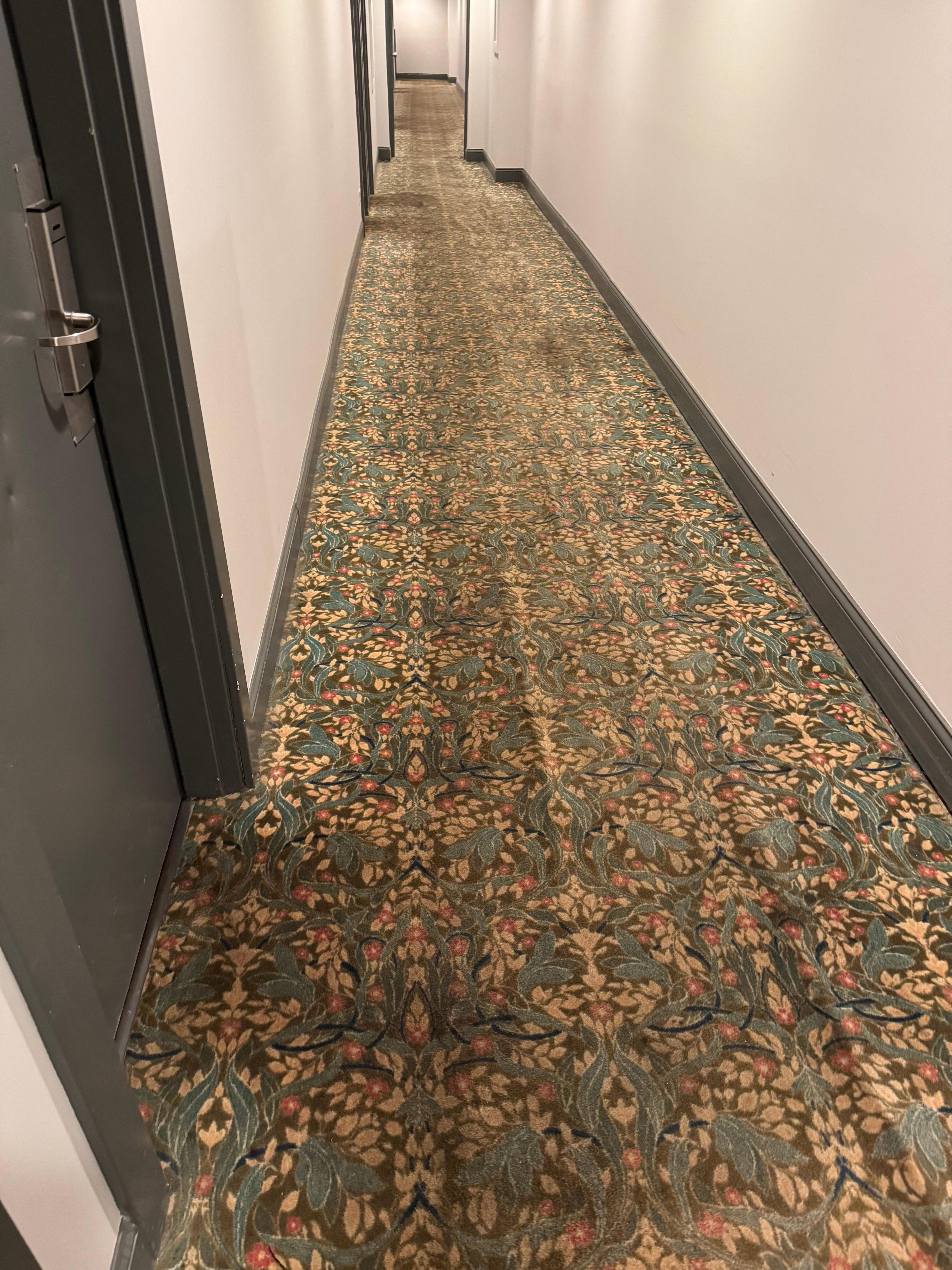 Dirty carpets