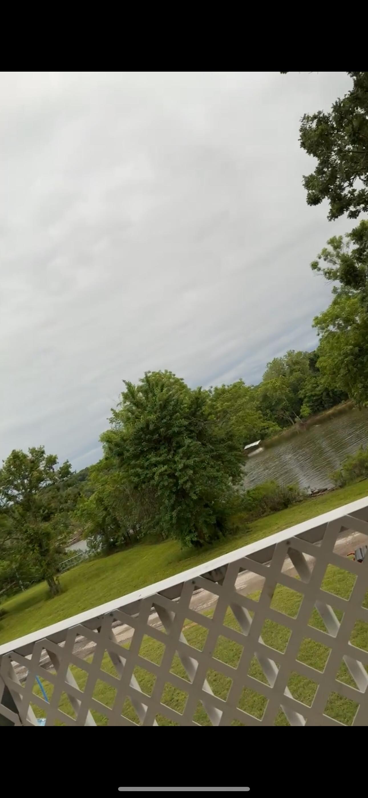 view from the back porch 